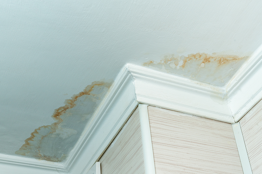 Call 317-269-7319 for Professional Water Damage Drywall Replacement in Indianapolis