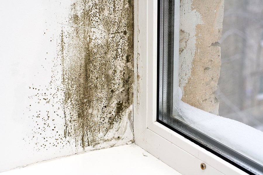 Call 317-269-7319 for Professional Wet Drywall Repair in Indianapolis Indiana