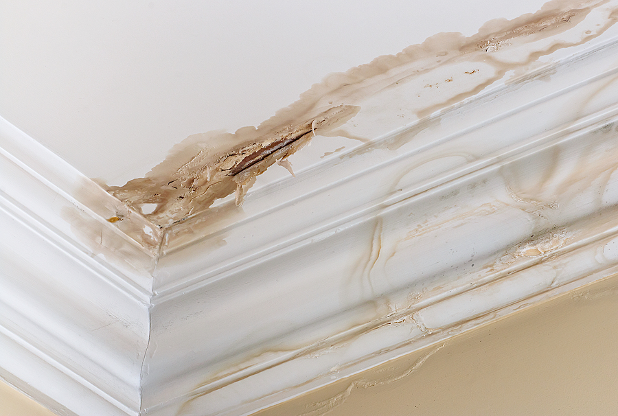 Water Damage Drywall Replacement
